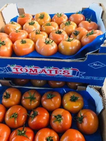 Свежие фрукты и овощи из Марокко