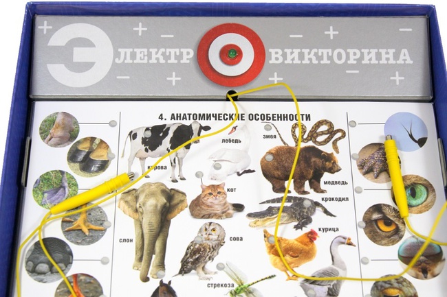 Board game Electric quiz "Wildlife"