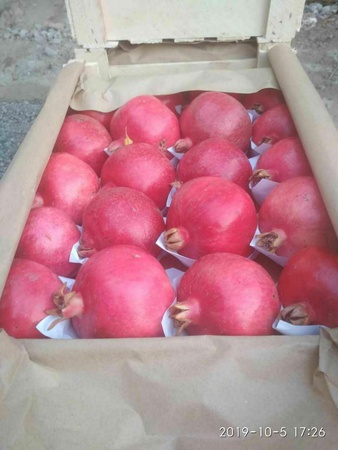 Гранат, Хурма, Дыня, Виноград