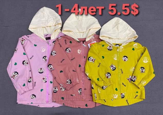 Спортивные штаны и ветровочки