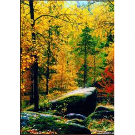 哲学家之石/ 4张