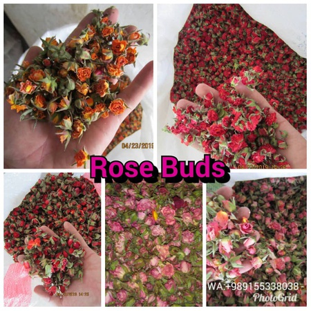 Toptan: Gül Tomurcukları ve Yaprakları