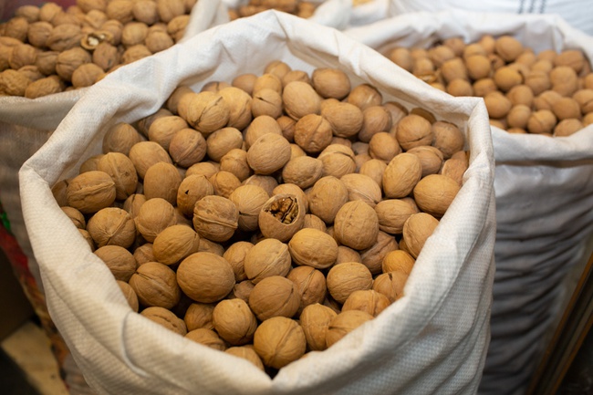 Walnut in shell - China