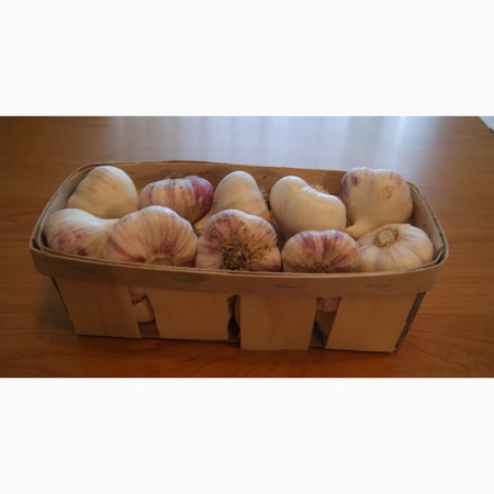 Marketable garlic