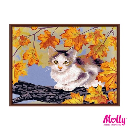 Sayıya göre boya Yaramaz kedi yavrusu