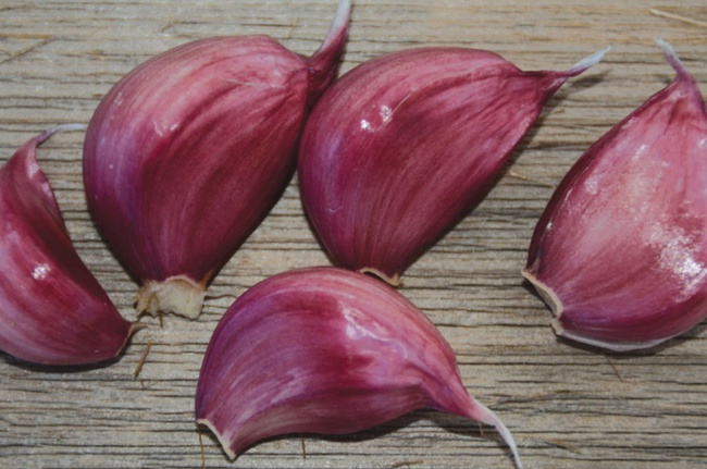 Чеснок красный