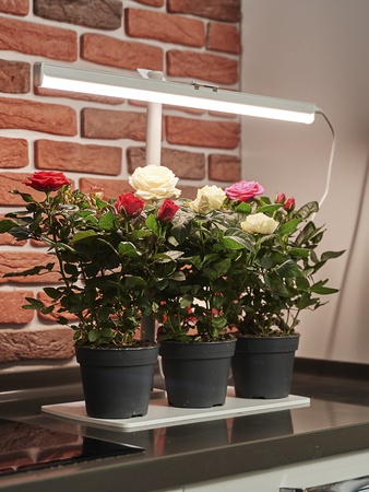 Фитосветильник «РАСТУЩИЙ светильник 9 Вт», «РАСТУЩИЙ светильник 16 Вт»