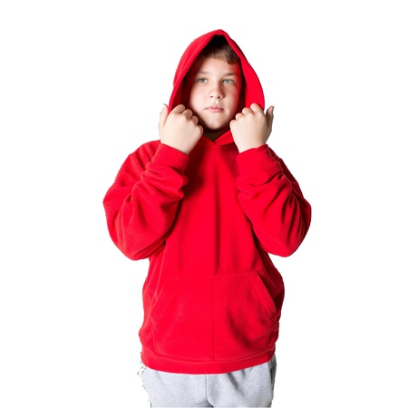 Модель №2013