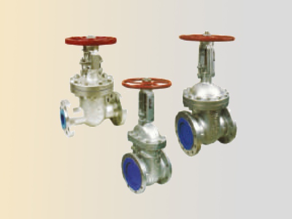 Стандартный запорный клапан ANSI