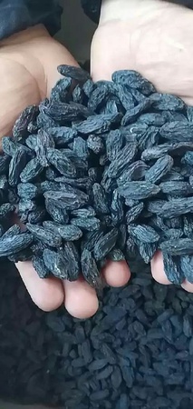 Изюм черный жамбо