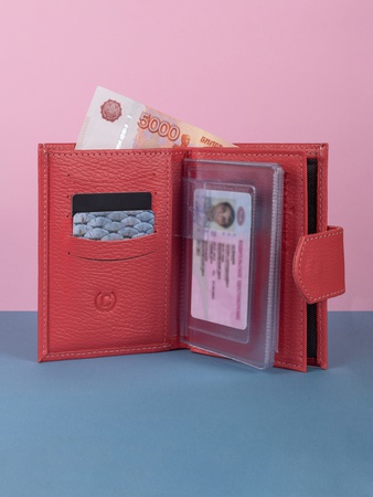 Портмоне для автодокументов на кнопке 3 в 1 АГ-201