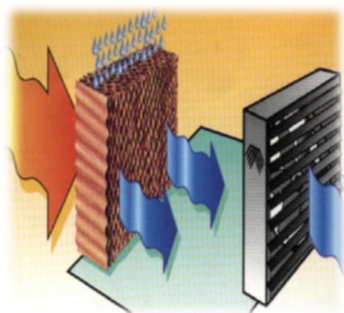 ВЕНТИЛЯТОР ПЕТЕК ТЕПЛИЧНОЕ ОХЛАЖДЕНИЕ