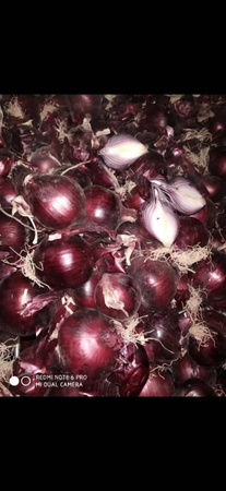 Üreticiden sebze ve meyveler (mevsime göre)