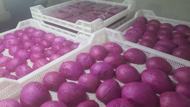 Замороженный Драгонфрут. Экзотические фрукты с заводов OLMISH