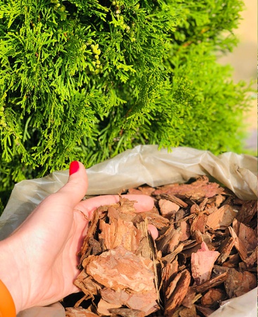 Мульча из коры сосны средней фракции 2-6 см