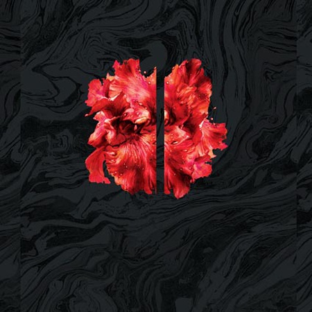 سيرجينيتي S-0027