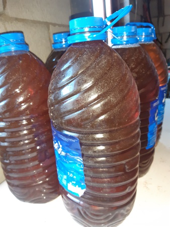 Honey from Kyrgyzstan Toktogul mountain, floral