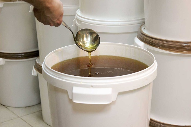 Мёд каштановый оптом