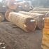 ДЕРЕВЯННЫЕ Бревна СРЕДНЕГО ДИАМЕТРА 80 СМ ИЗ КАМЕРУНА ДОУССИ КОССО ТАЛИ