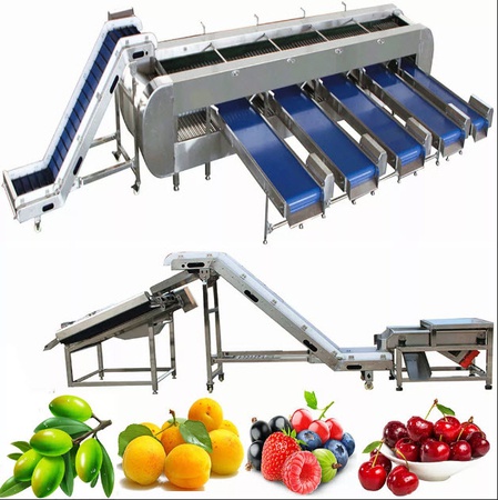Berry processing line