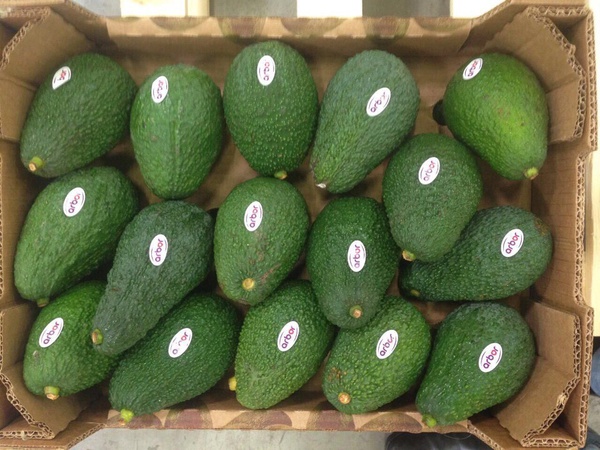 Свежие фрукты и овощи из Марокко