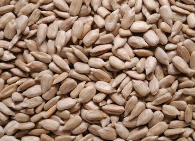 Ядро подсолнечника