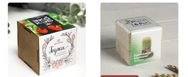 Ferienhaus und Garten. Kits für den Anbau von P & P zu Hause und für die weitere Transplantation Wir akzeptieren Bestellungen ab 1 Stk.