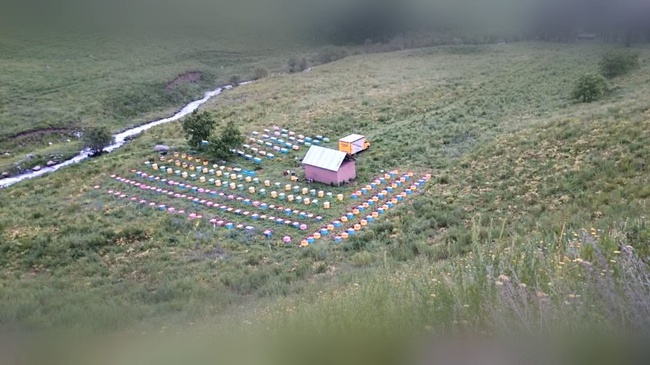 doğal bal, korunga (beyaz)