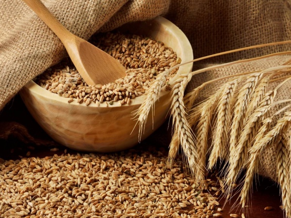 Пшеница 5-кл