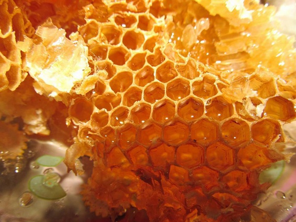 Сотовый мед /1 кг