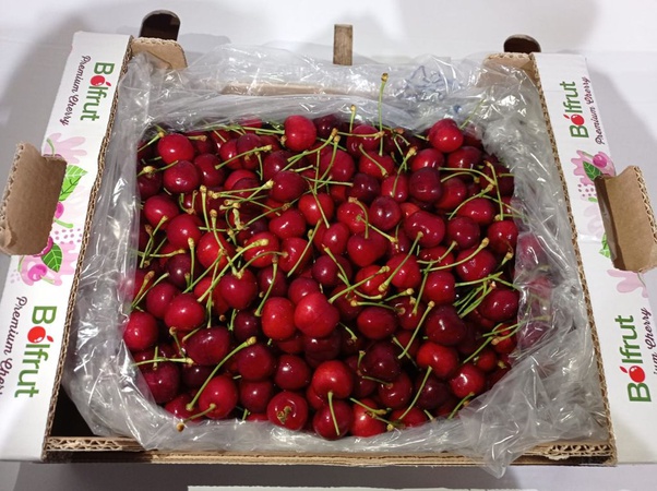 Черешня сорта Наполеон из Турции