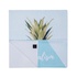 Beechbird Pineapple Plaj havlusu