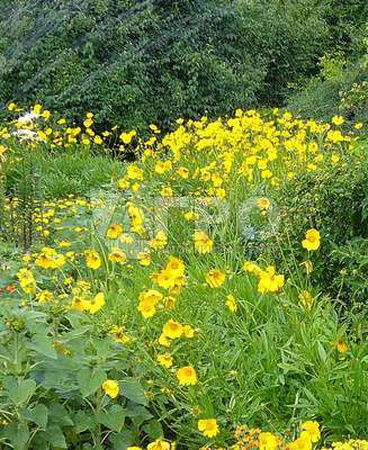 МАНЖЕТКА МЯГКАЯ ROBUSTICA