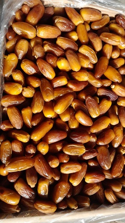 dejlet noor
