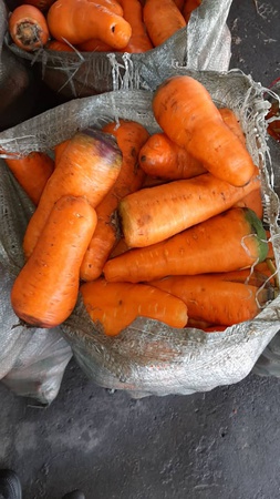 Üreticiden sebze ve meyveler (mevsime göre)