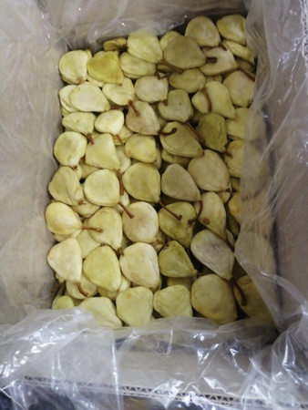 kurutulmuş meyve ve sebzeler