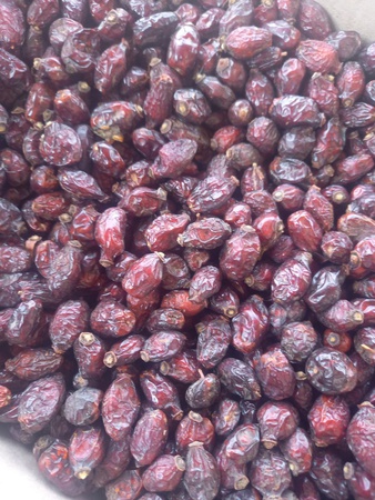 Шиповник сушеный