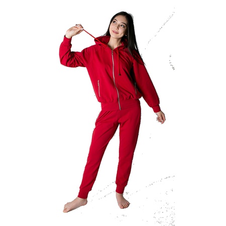 Модель №1009