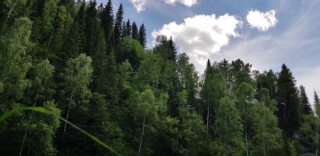 Путевки стандарт и люкс