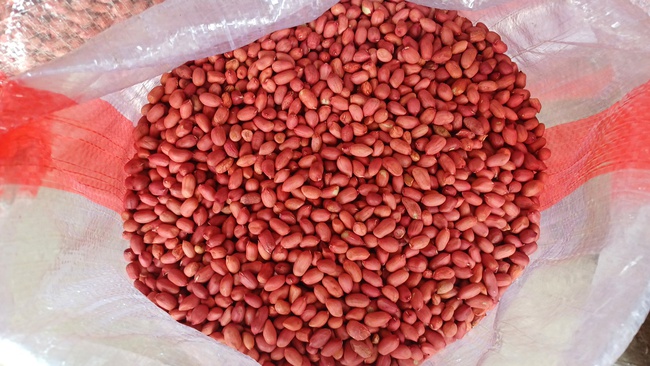 Ядро арахиса