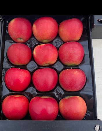 Таласские яблоки