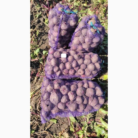 Trading House "Zorya Plus"