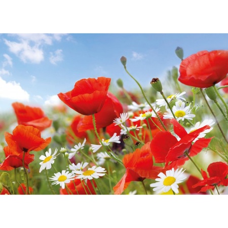 Красные маки/9 листов