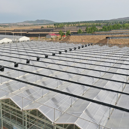 High Efficient Venlo Tempered Glass Greenhouse