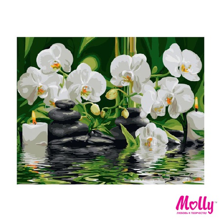 Картина по номерам Композиция на воде