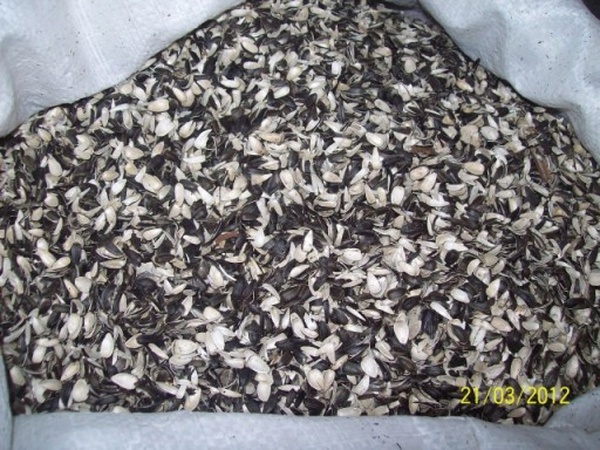 Sunflower husk pellets