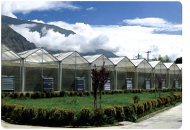 Промышленные и фермерские теплицы для выращивания фруктов, ягод, овощей