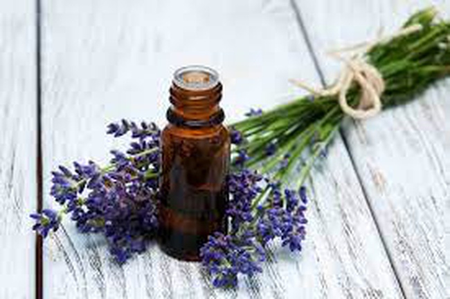 lavender oil