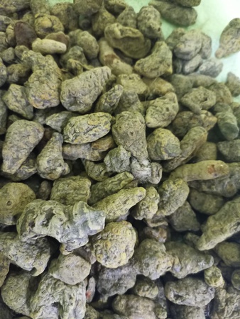 Kocha Zerdeçal Parmağı