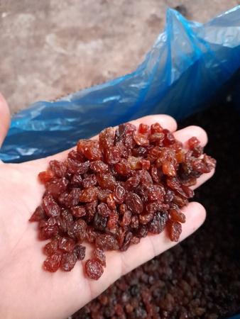 Изюм султана коричневый